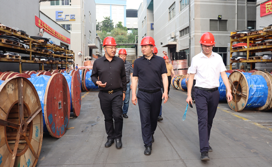 應(yīng)急管理部四川消防研究所、東莞市質(zhì)檢中心一行蒞臨民興電纜調(diào)研指導(dǎo)